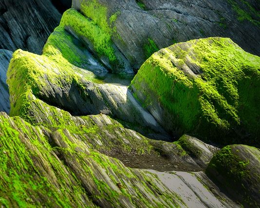 Ne ússzunk szemben az árral!