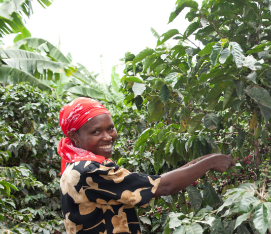 Tchibo, 100% fenntartható kávéból