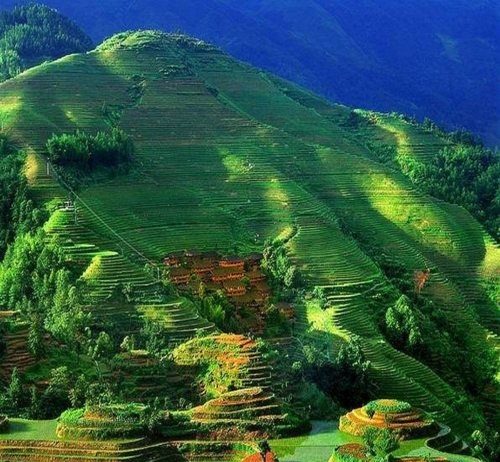 2050-re Kína, az USA és India lesz a három legnagyobb gazdaság