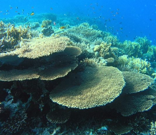 Japánban elsőként nyertek ki földgázt metán-hidrátból