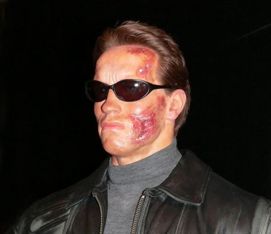 Arnold Schwarzenegger szerint is a zöld technológia a megoldás