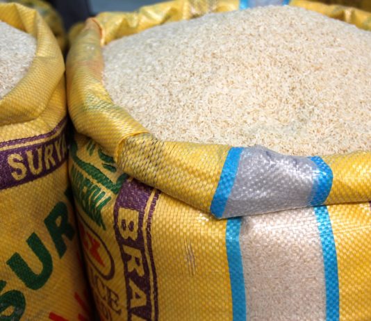 110 Nobel díjas kéri a Greenpeace-t: adja fel GMO ellenességét!