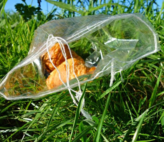 Élelmiszerpazarlás ellen 15 amerikai élelmiszer cég Élelmsizerpazarlás ellen 15 amerikai cég