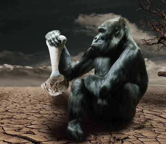 Marokkóban kiálltak a Párizsi Klímaegyezmény mellett Marokkóban kiálltak a Párizsi Klímaegyezmény mellett