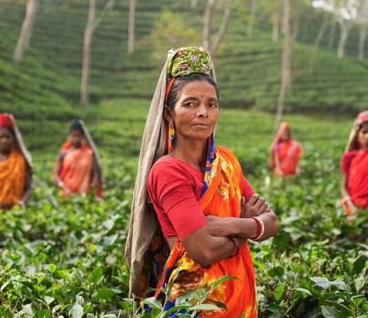 Körkörös gazdaság-új lehetőség India számára Körkörös gazdaság-lehetőség India számára is
