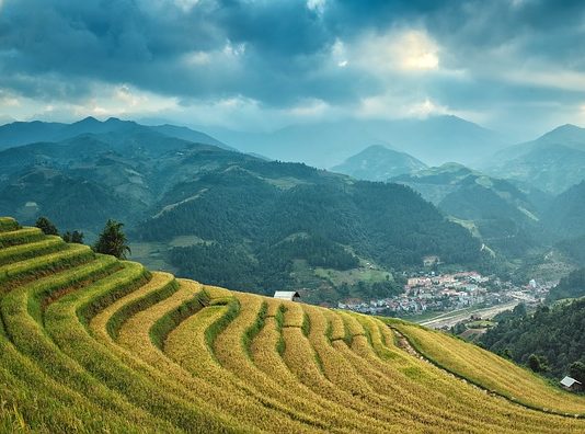 Zöld Kína- ez a jövő Kínája? Zöld Kína