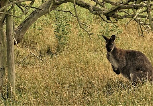 Ami nem látszik, azért nem kell felelősséget vállalni?