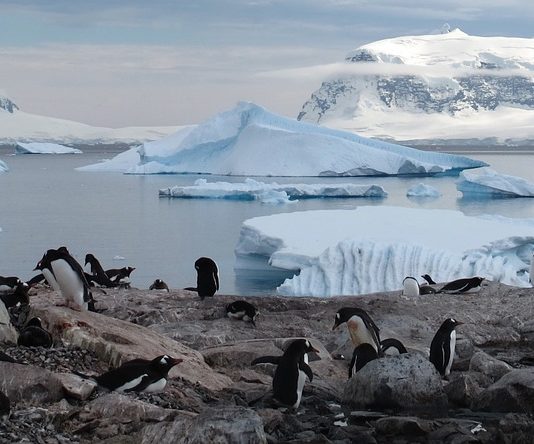 Műanyag pusztít már az Antarktiszon is Antarktisz