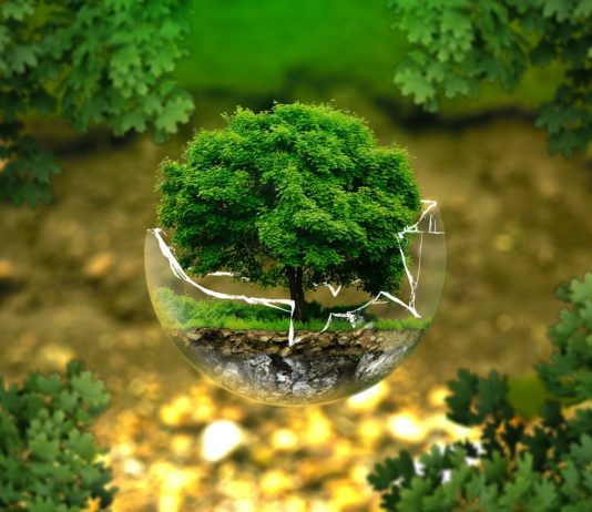 Új partnerség a felelős erdőgazdálkodásért Felelős erdőgazdálkodás