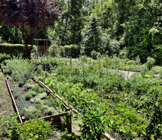 A szállodaszoba nem fél a sötéttől…