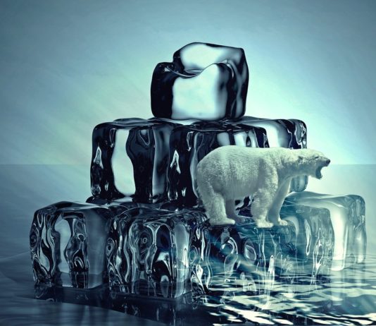 A 4. ipari forradalom vezethet a zéró CO2 kibocsájtású jövőhöz A 4. ipari forradalom a zéró szén-dioxid kibocsájtású jövőhöz