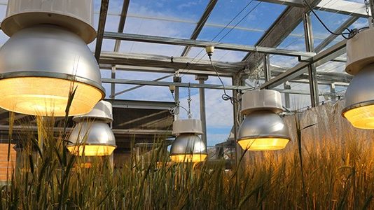 Új táplálkozási trendek- új kihívások az élelmiszeriparban Új táplálkozási trendek- új kihívások az élelmiszeriparban