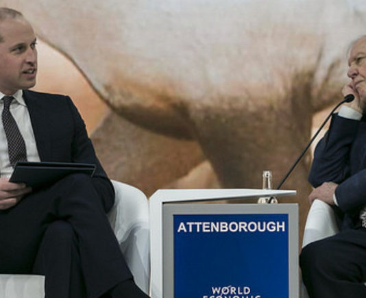Vilmos herceg interjút készített David Attenborough-val Vilmos herceg interjút készített D. Attenborough-val Davosban