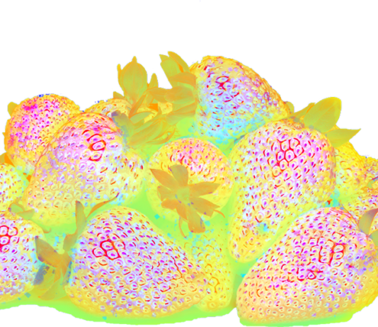 Képalkotó technológia az élelmiszerhulladék probléma megoldására Képalkotó technológia az élelmiszerhulladék probléma megoldására