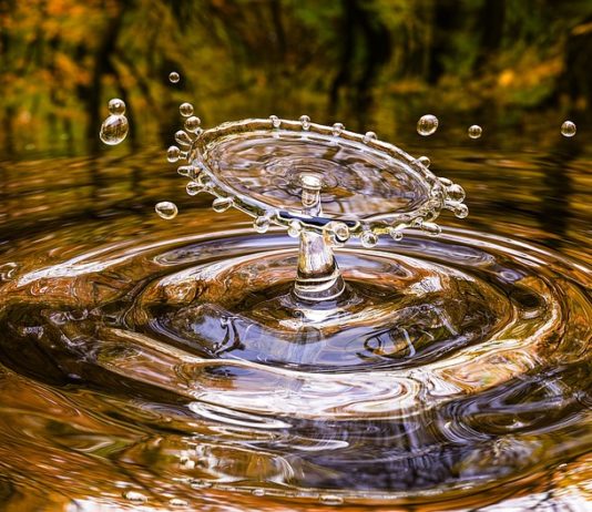Hatékonyabb vízfelhasználás szükséges az élelmiszeróriásoknál Hatékony vízgazdálkodás szükséges az élelmiszeróriásoknál