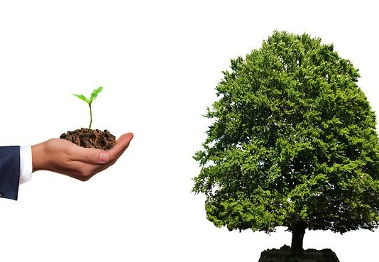 MNB: tőkekövetelmény kedvezmény zöld vállalati és önkormányzati finanszírozásra MNB:Zöld befektetés támogatása