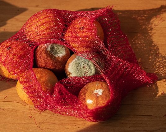 AZ USA hulladékainak 40%-a szerves Szerves hulladék-élelmiszer