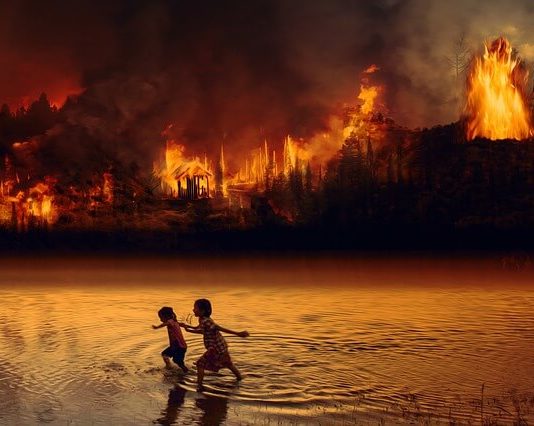 Klímaváltozás: július volt a világ legmelegebb hónapja Klímaváltozás: erdőtüzek