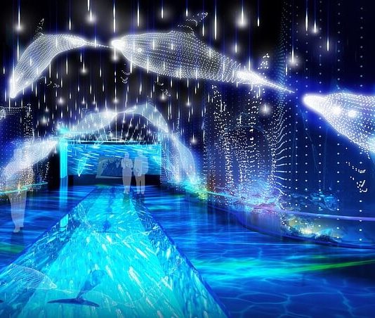 Az EU figyelmeztet a mélytengeri bányászat környezeti kockázataira A mélytengeri bányászat környezeti hatásai