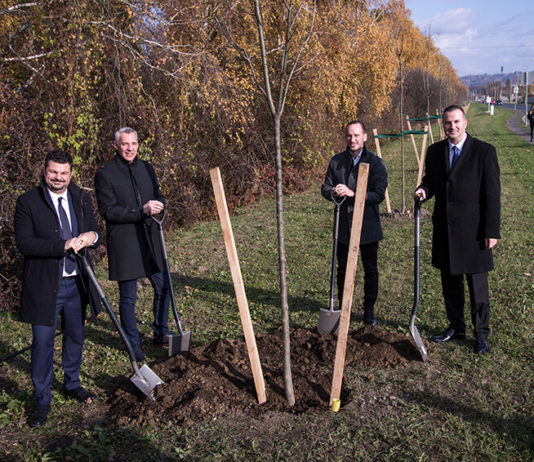 Faültetési program az E.ON -nal Zalaegerszegen Faültetési program az E.ON-nal Zalaegerszegen