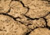 Világszerte aszályok pusztítanak… Aszályok világszerte