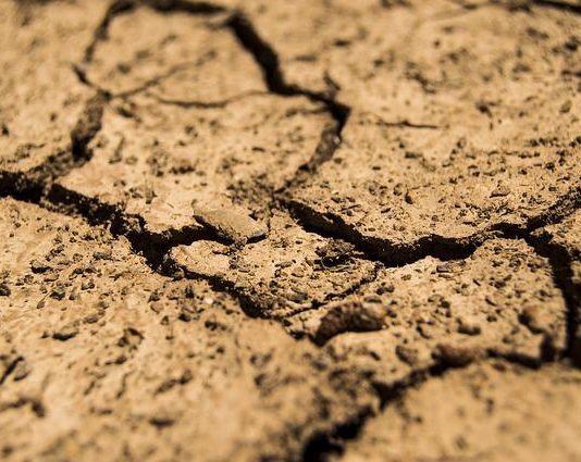 Világszerte aszályok pusztítanak… Aszályok világszerte