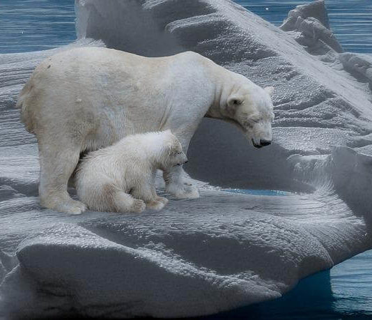 Zöld nyelv: Karbonsemleges? NetZero? Éghajlatváltozás: karbonsemleges...