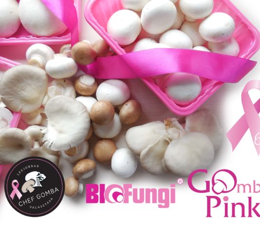 GoPink:Rózsaszín összefogás a daganatos betegek gyógyulásáért GoPink