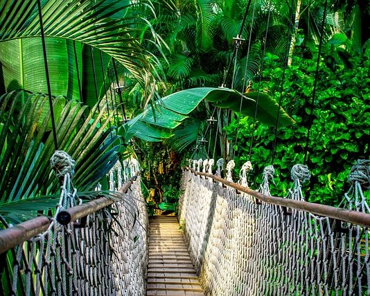 Madártávlatban a COP27-ről Amazonas- az esőerdőkér