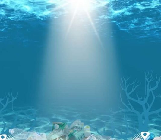 Műanyagevő gombák- ezúttal a gombák a műanyagszennyezést csökkentik műanyaghulladék