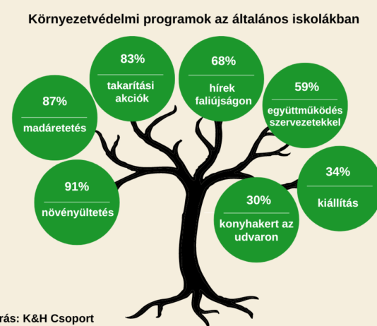 Az iskolák támogatják a fiatalok környezettudatosságát Iskolák a környezettudatosságért