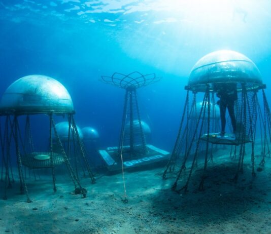 A mezőgazdaság fenntartható jövője Nemo kapitány víz alatti világában… Nemo's Garden- fenntartható mezőgazdaság a víz alatt