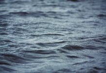 Korlátlan internetet ad a Yettel az árvízhelyzet miatt